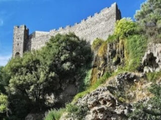 Didatour - Leali - Header